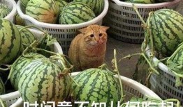 辽源吃瓜爆料视频,揭秘当地热点事件背后的真相